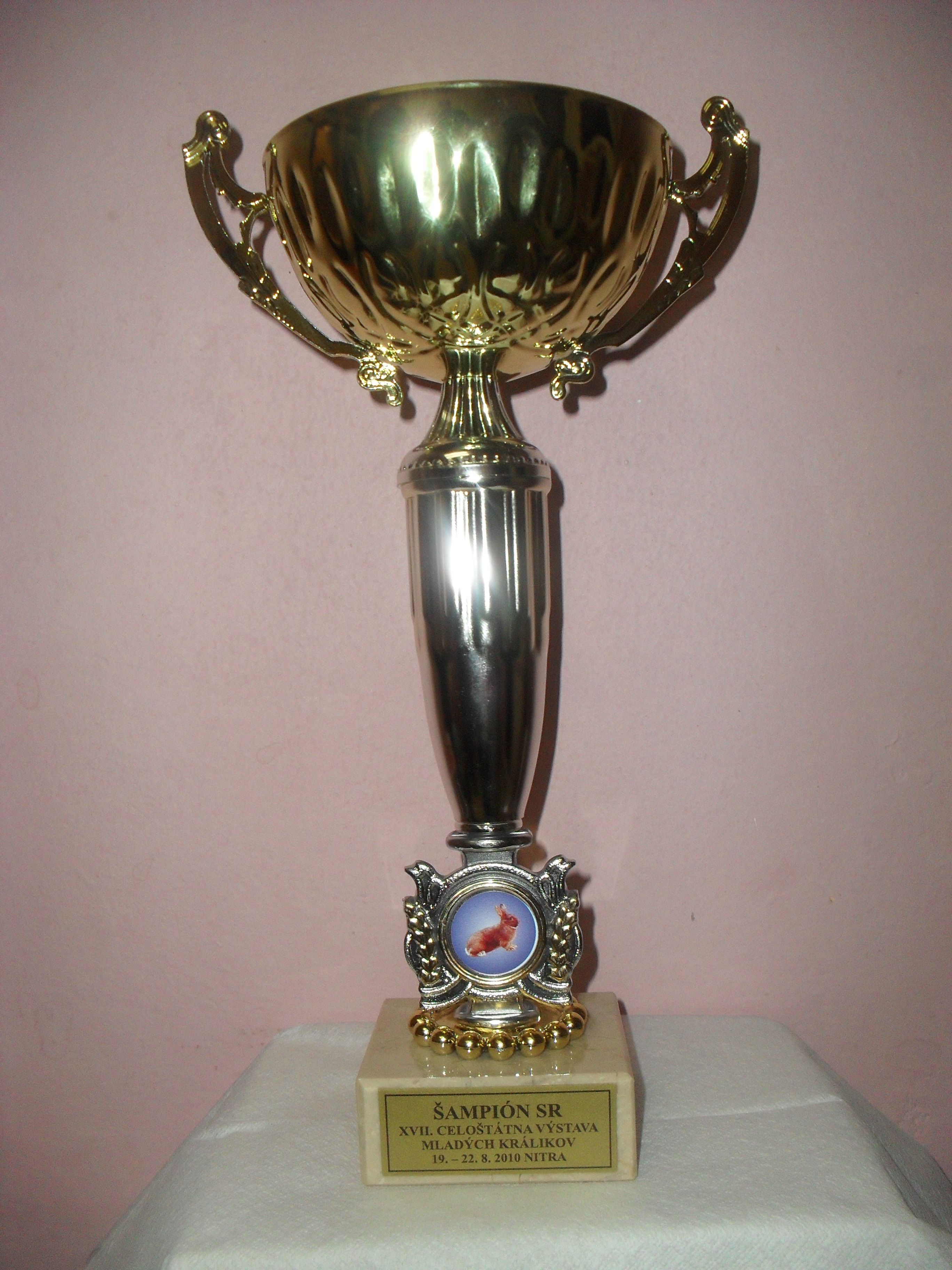 SDC10833