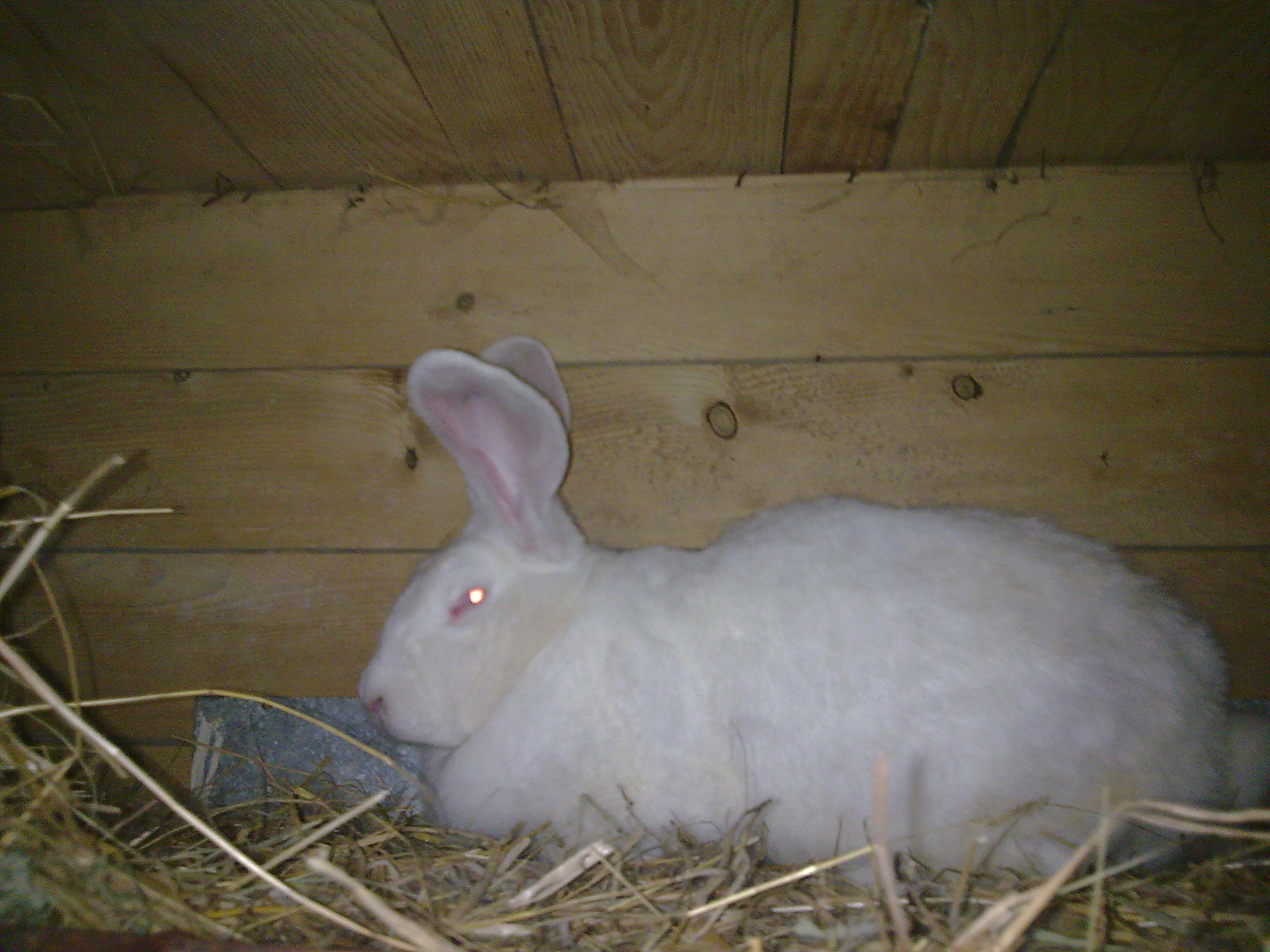 Photecka0942