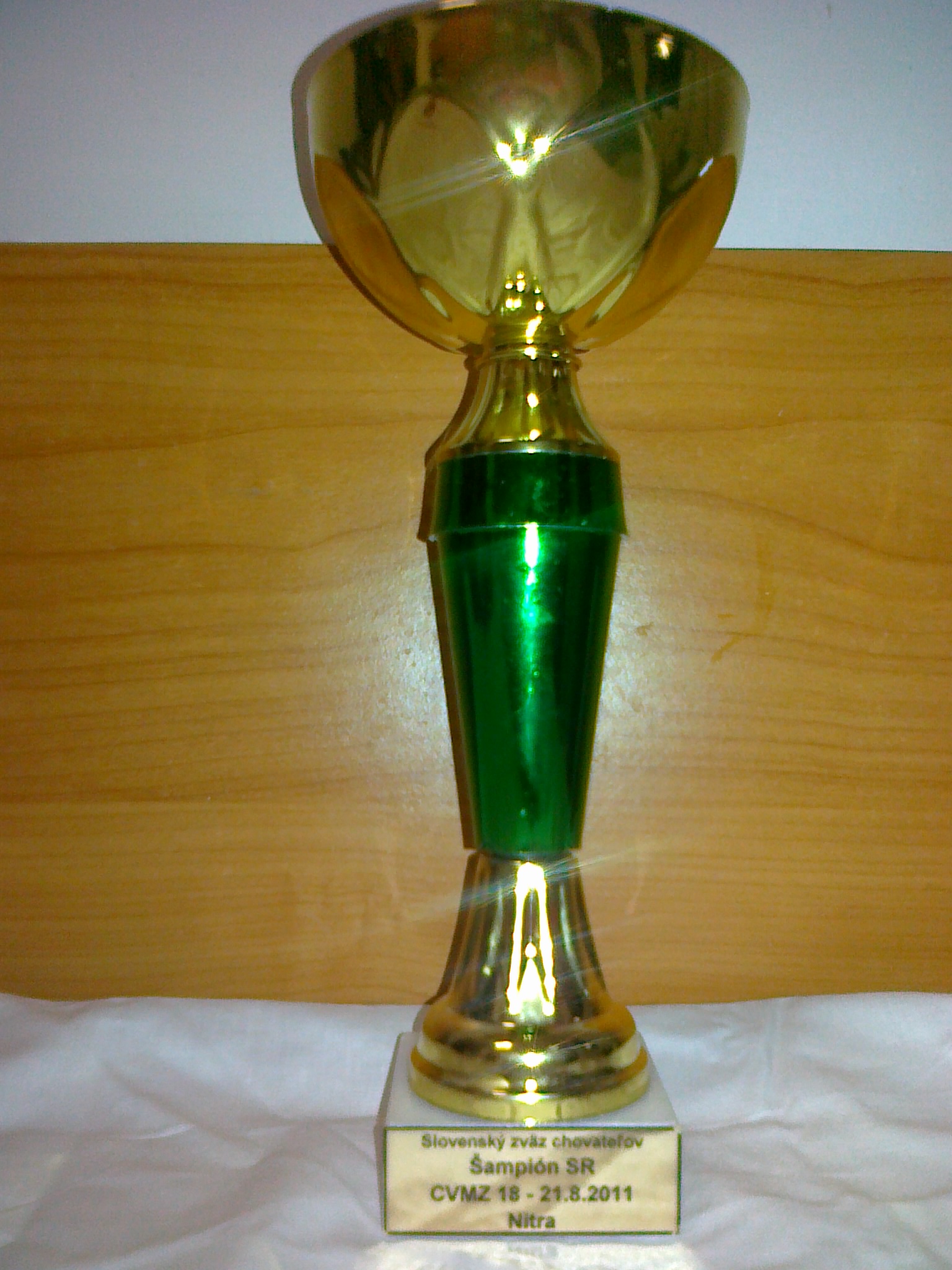 Sampion 2011